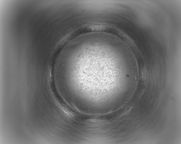 X0000068850733200605121408