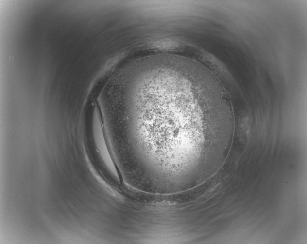 X0000068850734200605121408