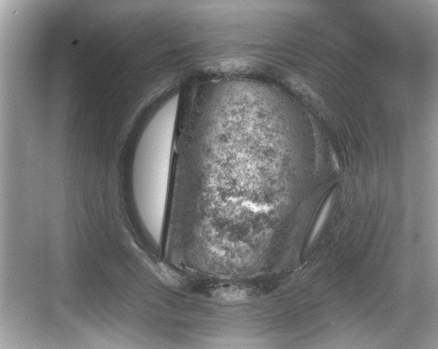 X0000068850735200605121409