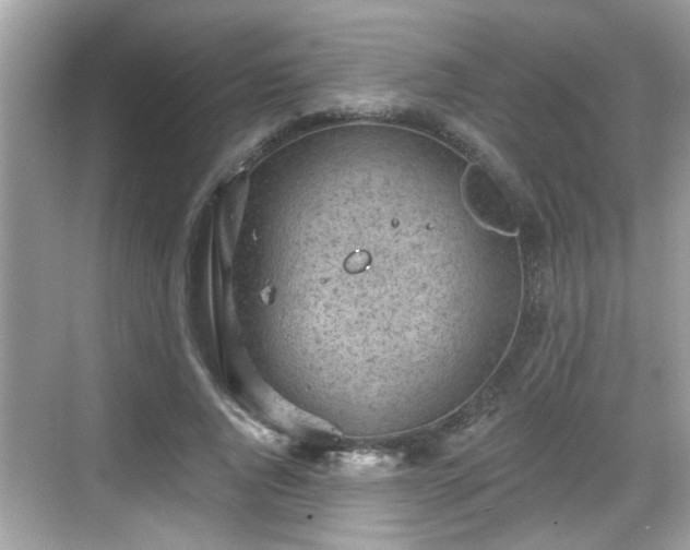 X0000068850736200605121409