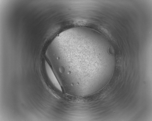 X0000068850738200605121409