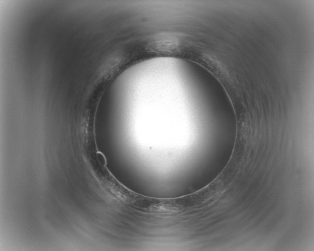 X0000068850739200605121409