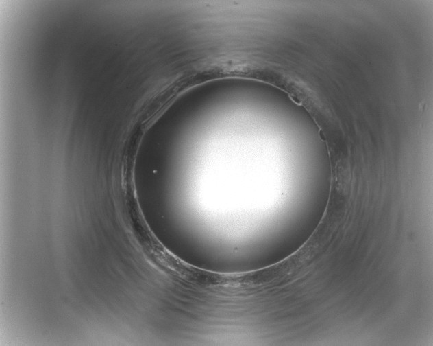 X0000068850740200605121409