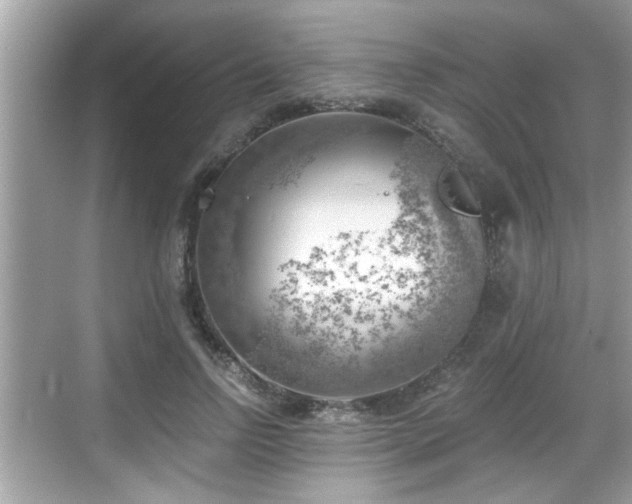 X0000068850742200605121409