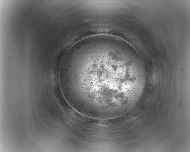 X0000068850743200605121409