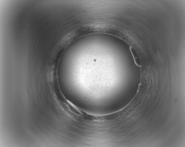 X0000068850744200605121409