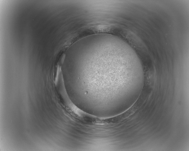 X0000068850746200605121409