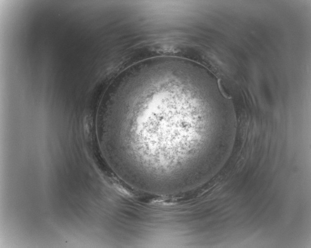 X0000068850747200605121409