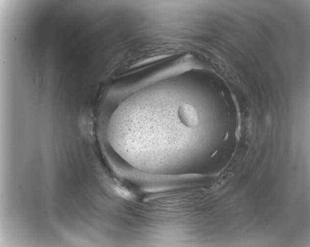 X0000068850750200605121409