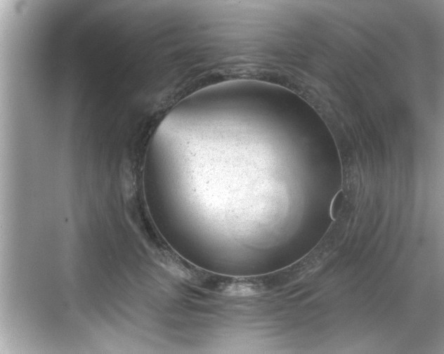 X0000068850751200605121409