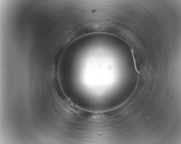 X0000068850752200605121409