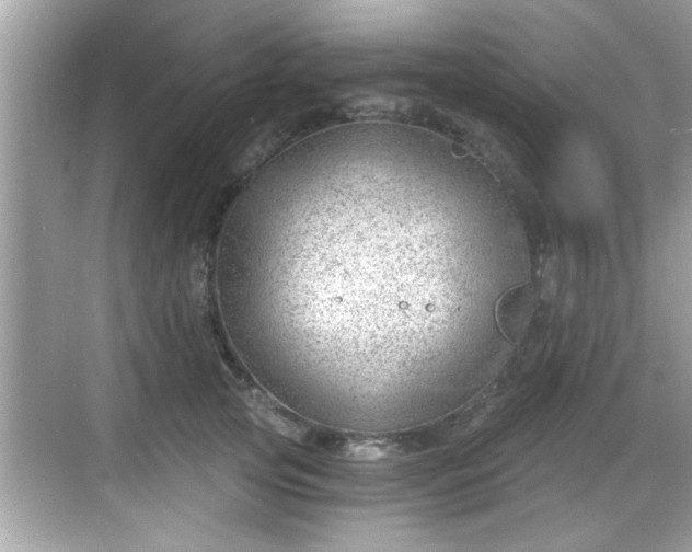 X0000068850753200605121409