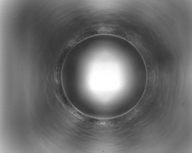 X0000068850755200605121409