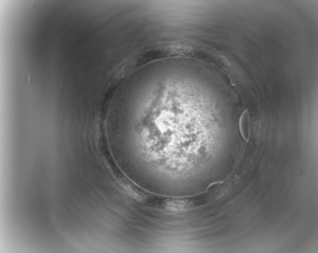 X0000068850757200605121409