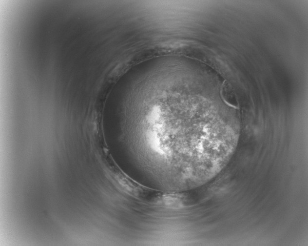 X0000068850758200605121409