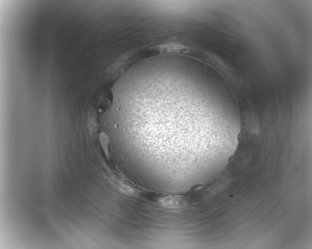 X0000068850761200605121409