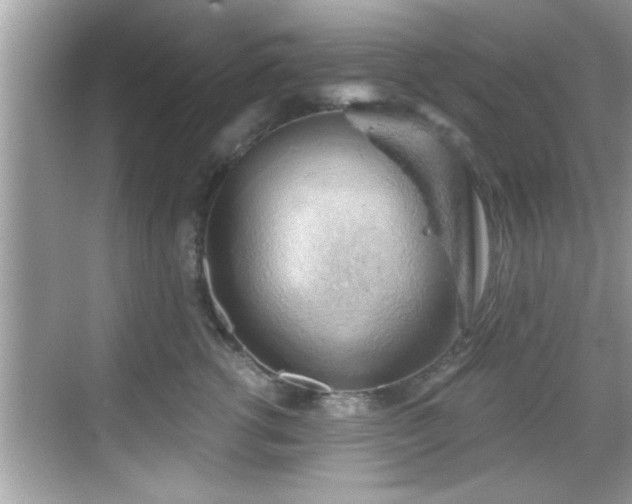 X0000068850762200605121409