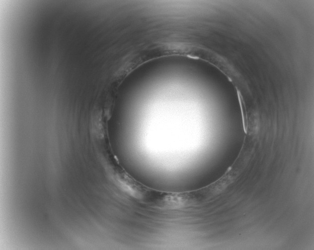 X0000068850764200605121409