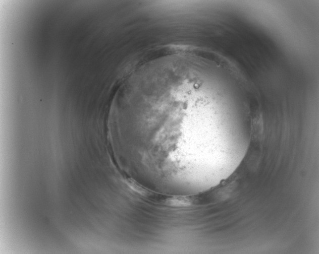 X0000068850765200605121409