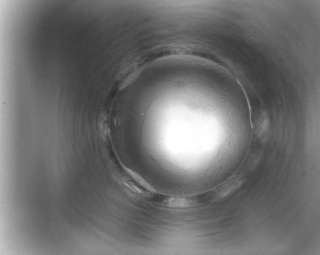 X0000068850766200605121409