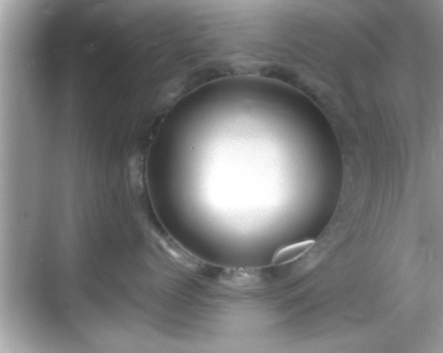 X0000068850768200605121409