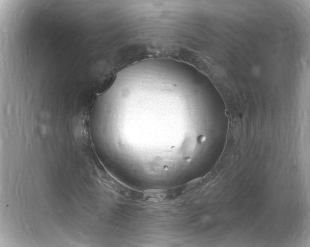 X0000068850770200605121408