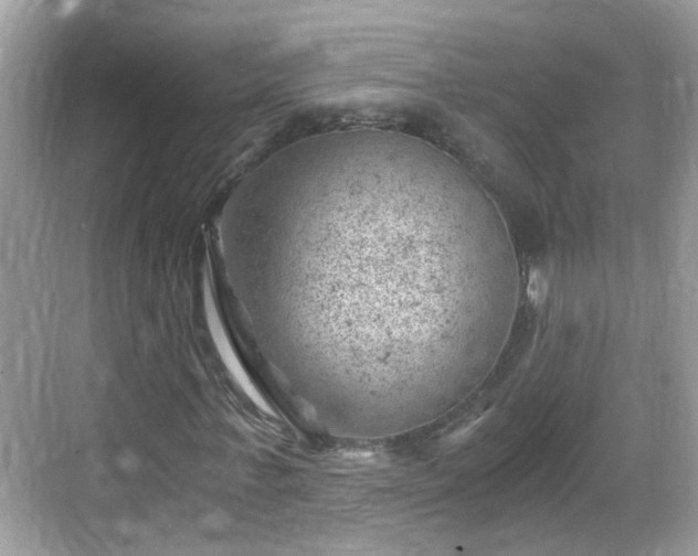 X0000068850771200605121408