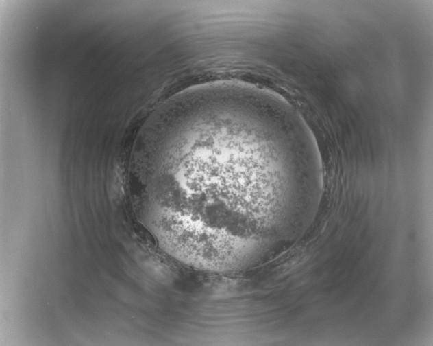 X0000068850772200605121408