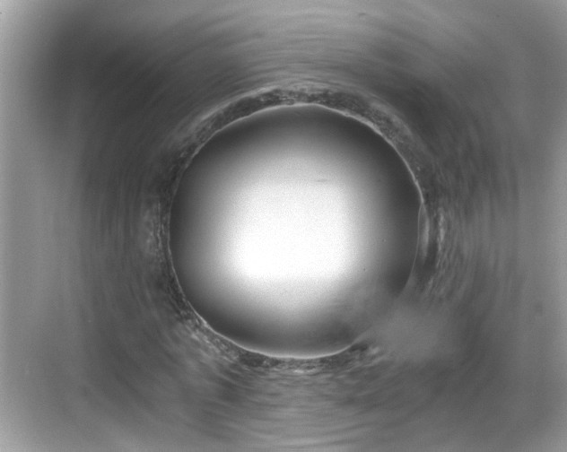 X0000068850773200605121408