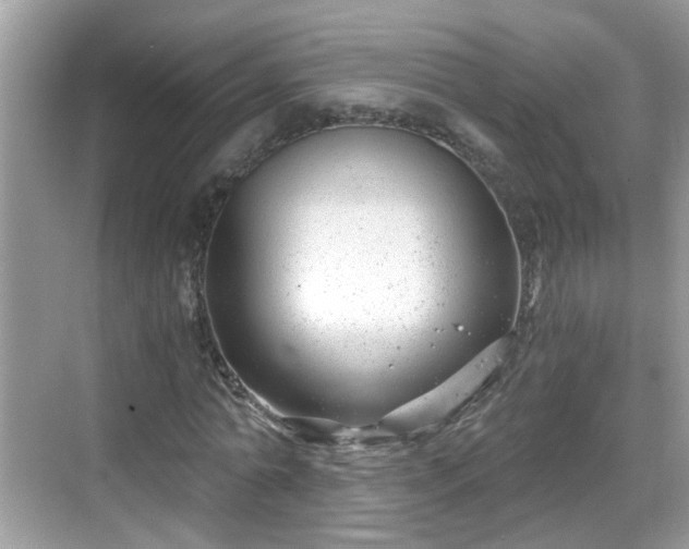 X0000068850774200605121408