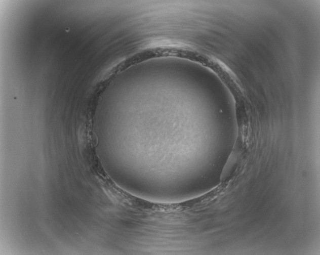 X0000068850775200605121408