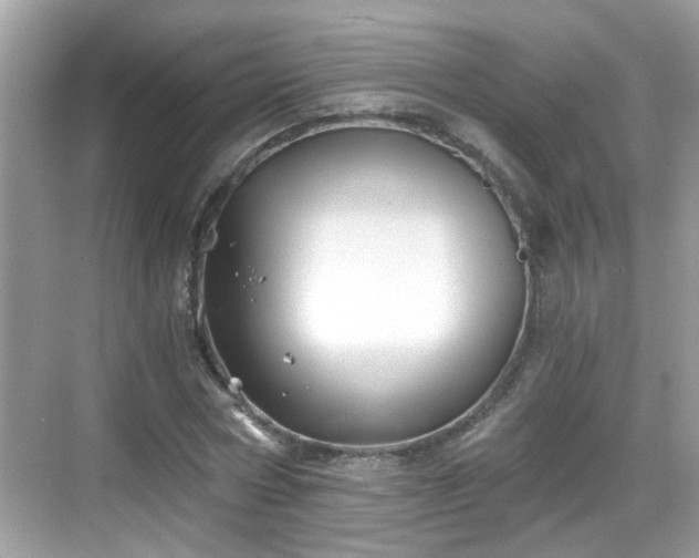 X0000068850778200605121408