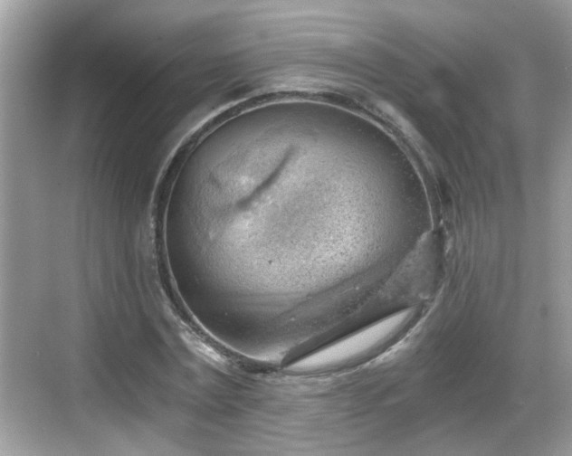 X0000068850779200605121408