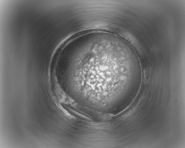 X0000068850780200605121408