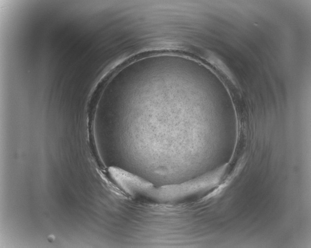 X0000068850781200605121408