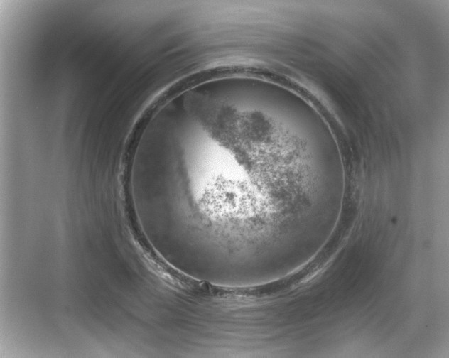 X0000068850783200605121408