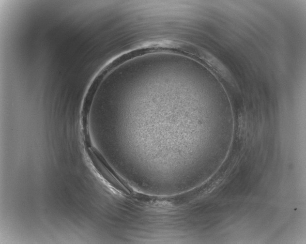 X0000068850784200605121408