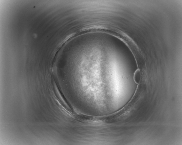 X0000068850785200605121408