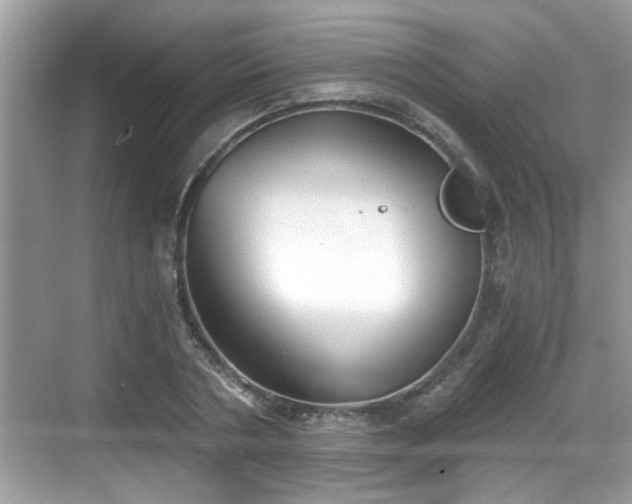 X0000068850786200605121408