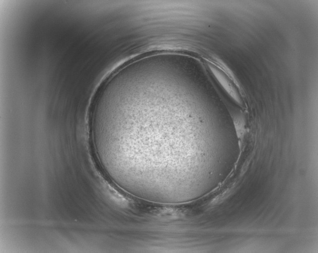 X0000068850787200605121408