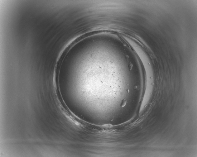 X0000068850788200605121408