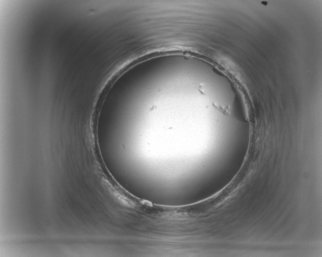 X0000068850789200605121408