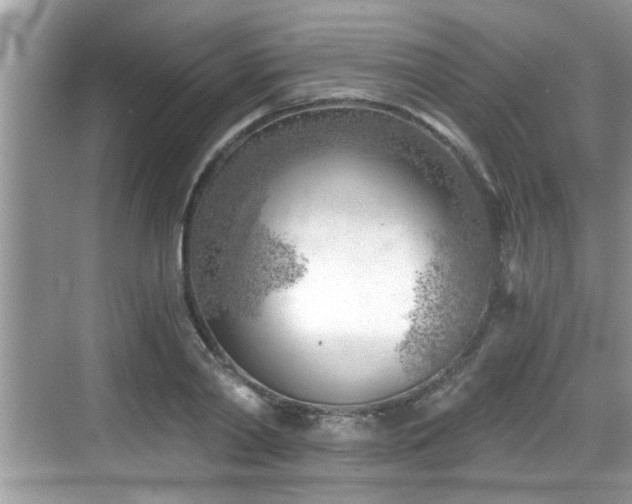 X0000068850790200605121408