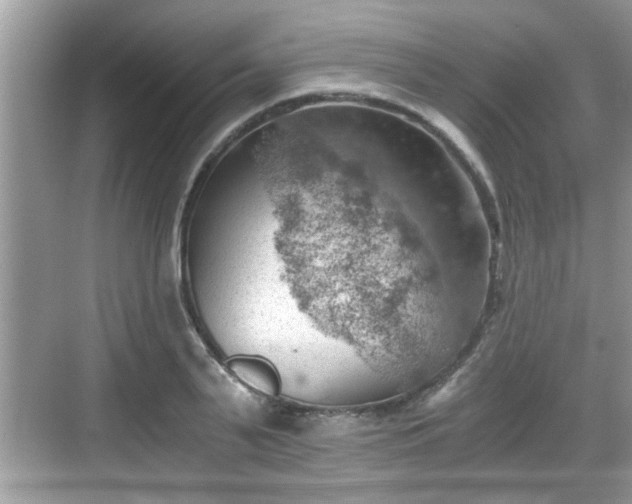 X0000068850791200605121408