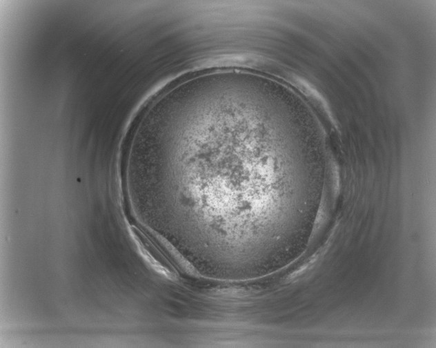 X0000068850792200605121408