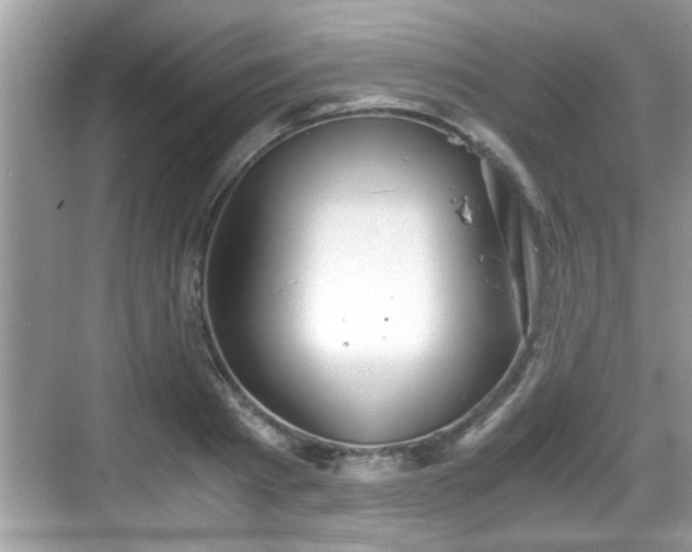 X0000068850793200605121408