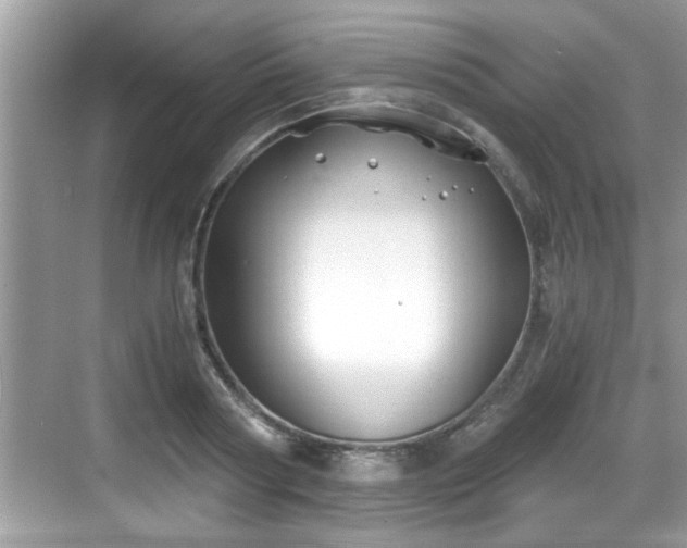 X0000068850794200605121408