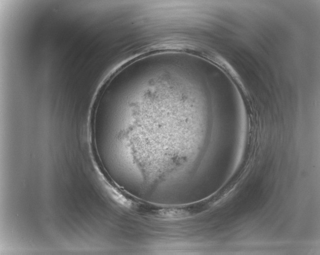 X0000068850795200605121408