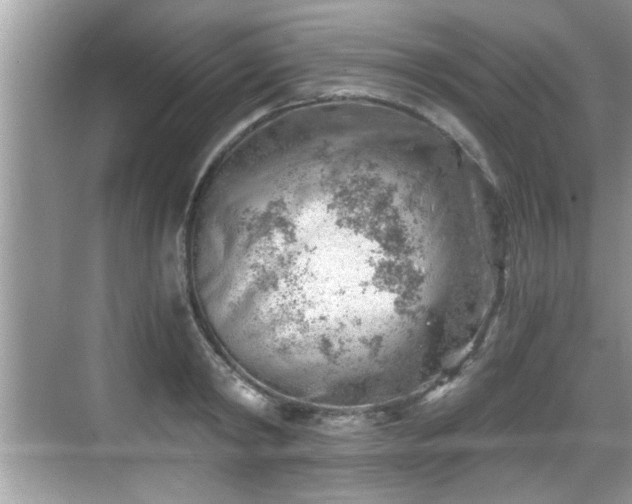 X0000068850798200605121408