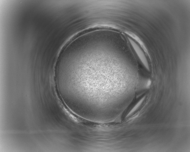 X0000068850799200605121408